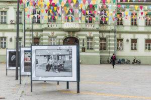 korona zrenjanin izlozba 002