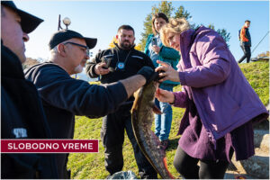 istraživanje ihtiofaune zrenjanin