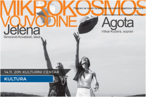 mikro kosmos vojvodine plakat koncert 14112021