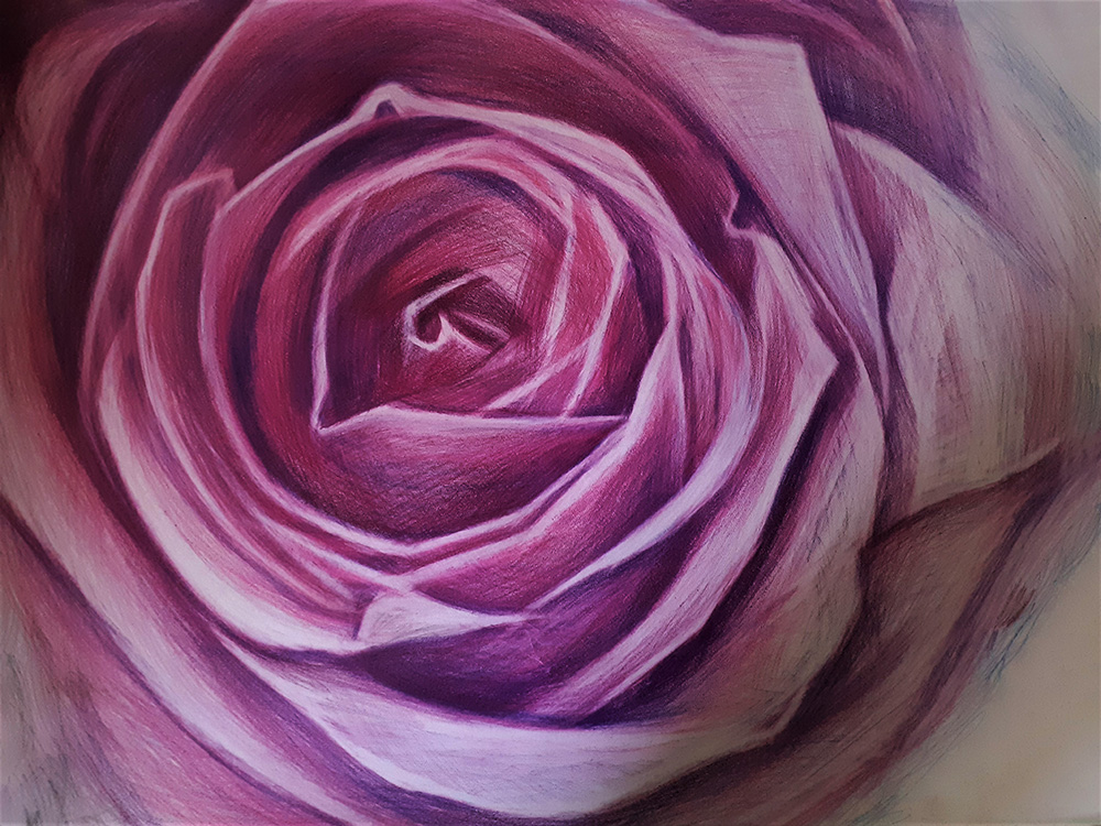 maja poljak petrovic, pustinjska ruža, olovka u boji na papiru, 70 x 100 cm, 2022.(1)