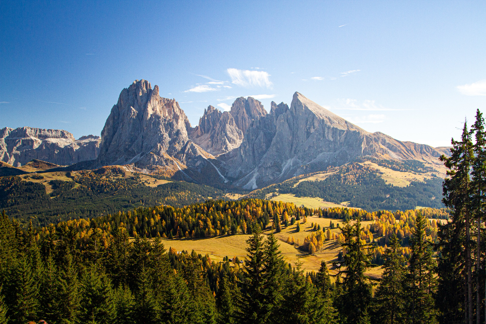 beautiful shot grassy hills covered trees near mountains dolomites italy