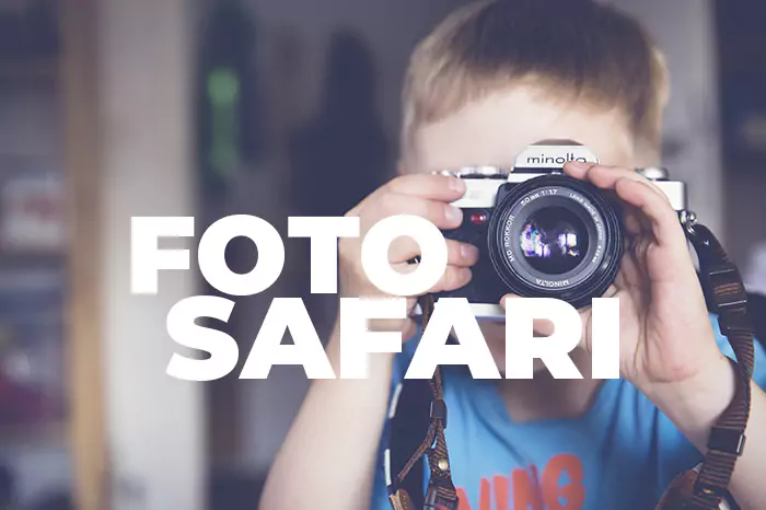 foto safari n 66617e5151739
