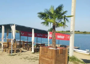 cistoca n 668e64e59b8bc
