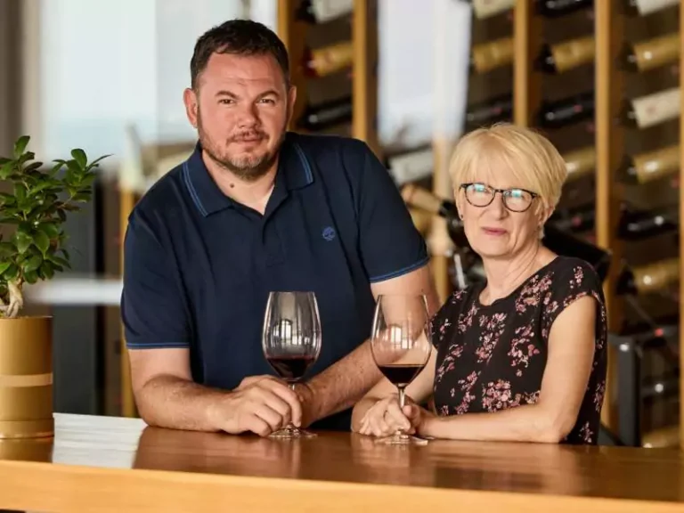 vino fino knjiga o vinima srbije n