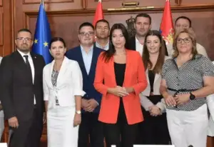 vujovic ugovori jls 3 n