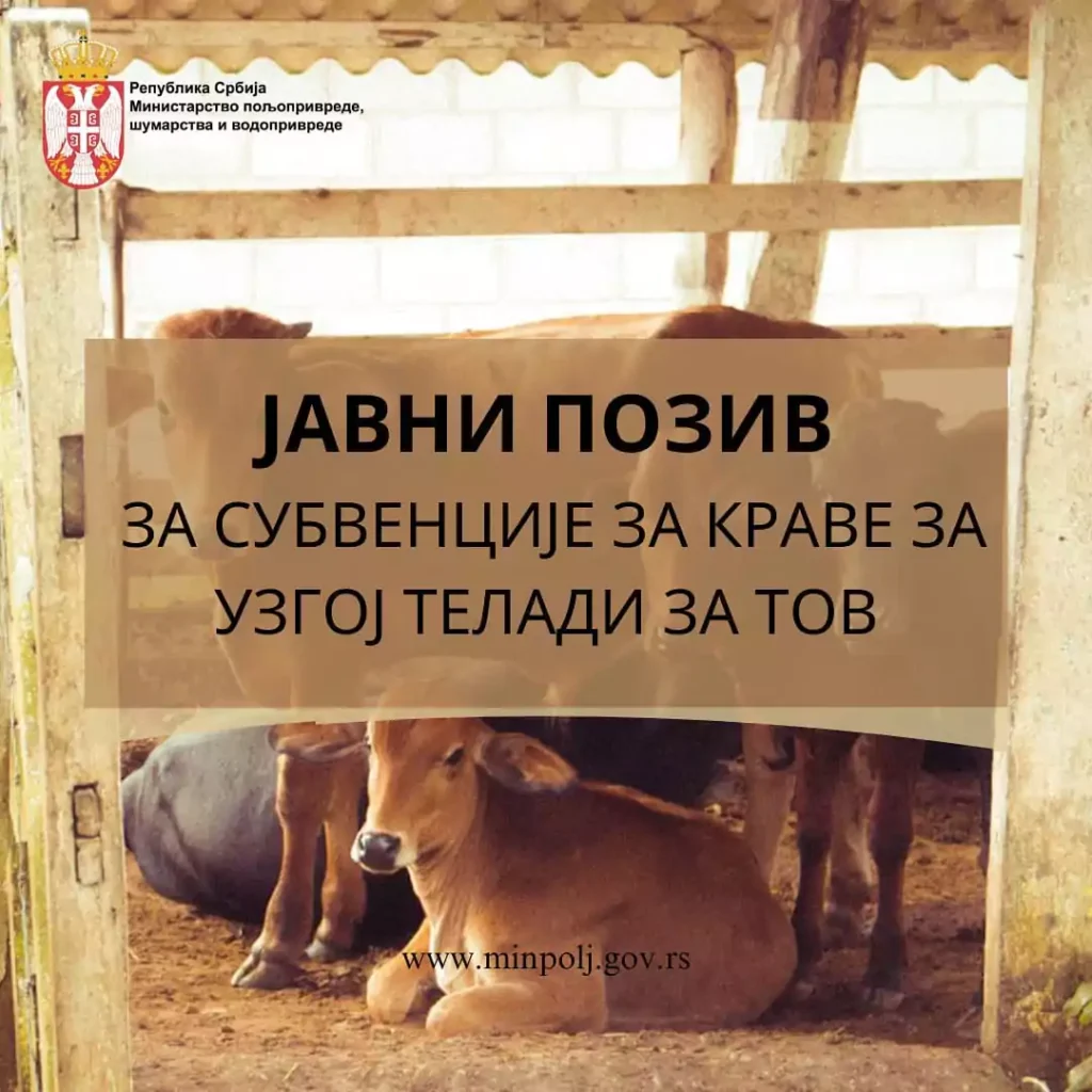 whatsapp image 2024 07 31 at 094420 32dda7a4 66a9ff3a0ad58
