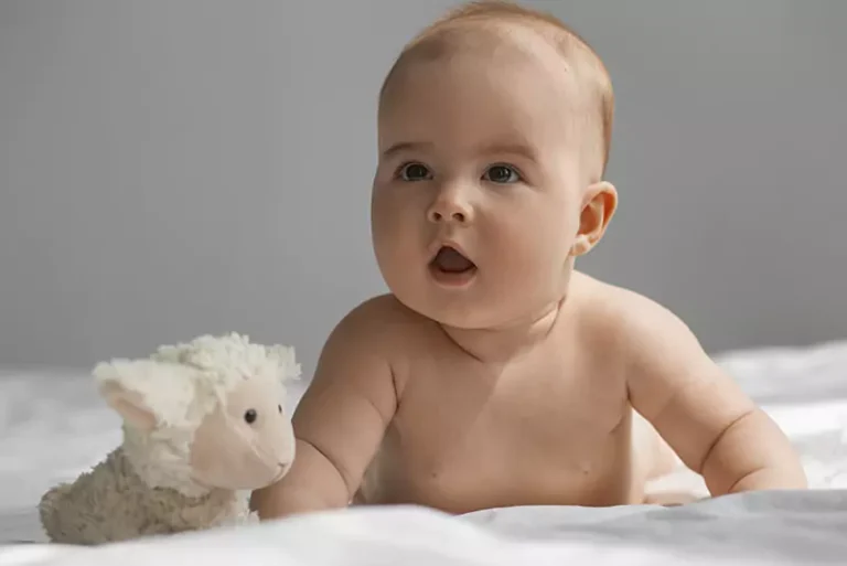 bebe 18n 670cbceed3721