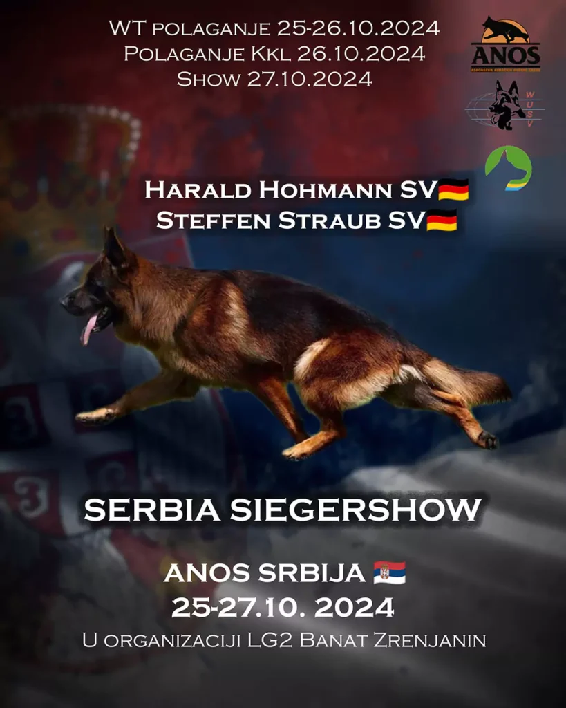 darko tiganjica izlozba 67134d159d98f