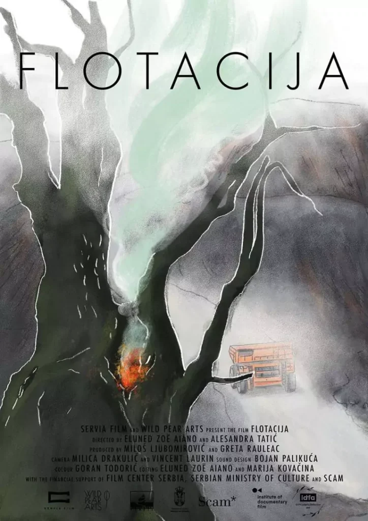 flotacija poster 67288aeab5427
