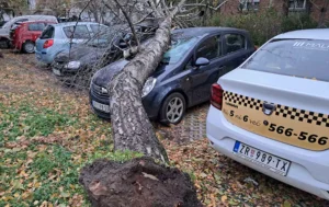 nevremen u zrenjaninu n 674024c83e474