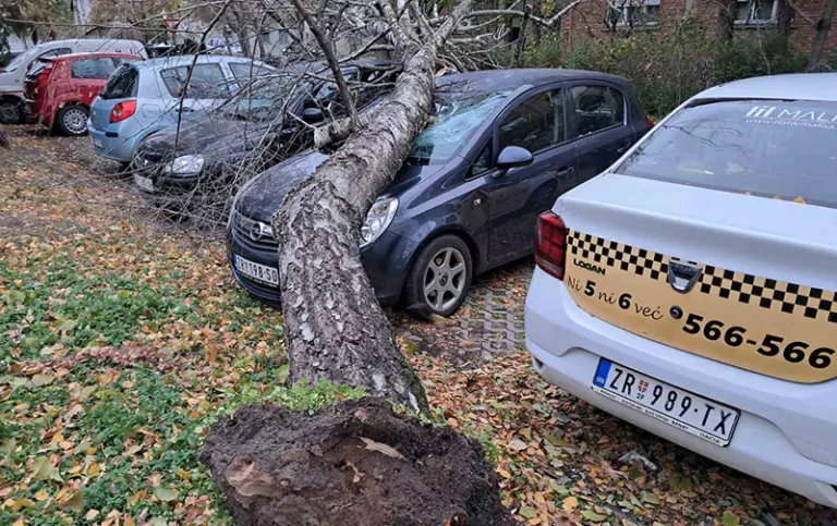 nevremen u zrenjaninu n 674024c83e474