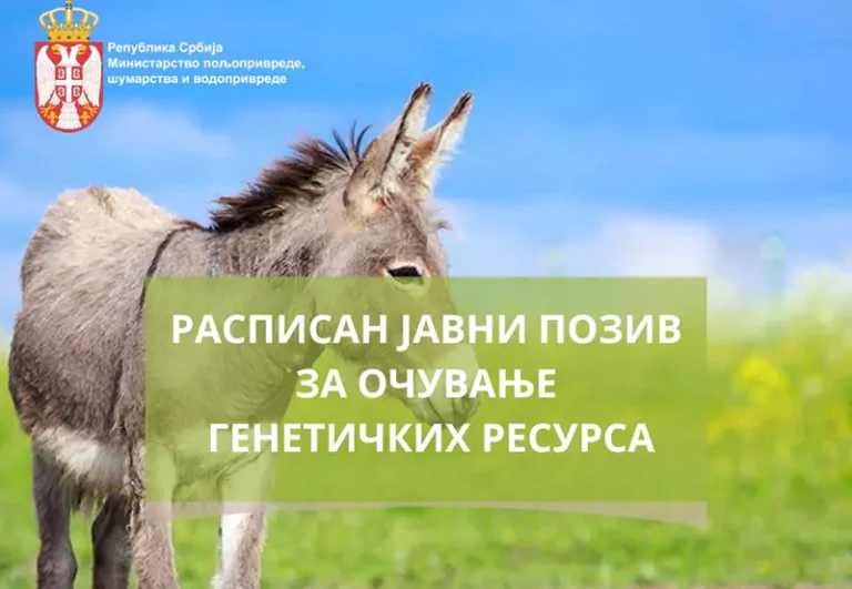 pss n 673b6c3d0f2a9