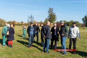 rotary club zrenjanin sadnja n