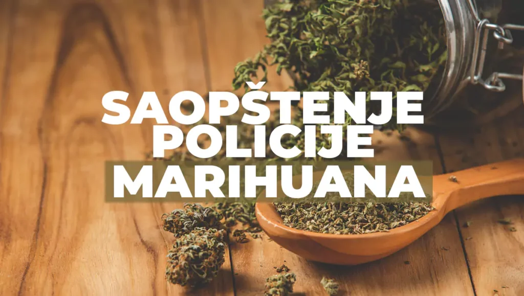 policija marihuana 1 6769664845c94