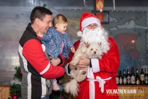 zelene sape i deda mraz zrenjanin n