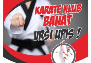 karate danko n 6778e7619cbe5