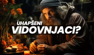 hapsenje vidovnjaka n
