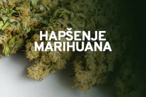 2hapsenje marihuana n