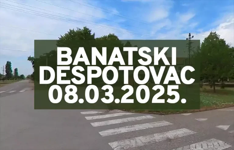 banatski despotovac n