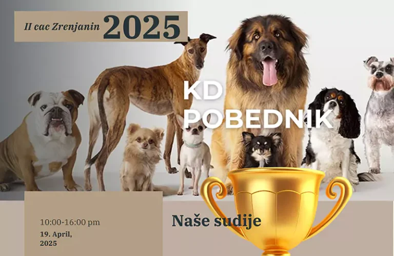 cac izlozba pasa zrenjanin n 67d08afe5b20e