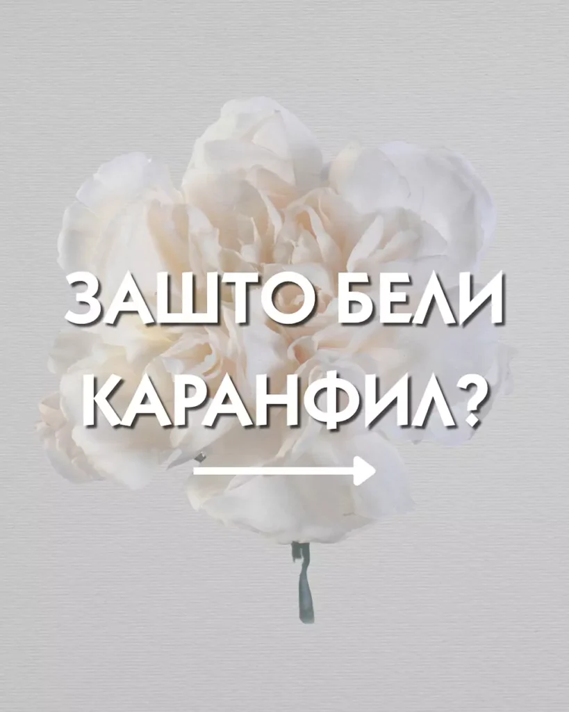 03 6808a674aee38