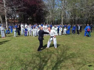 seminar aikido n