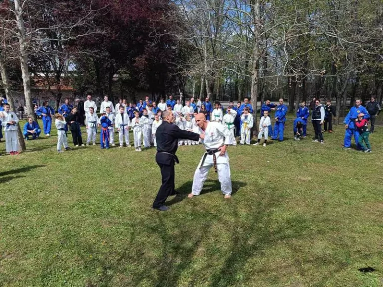 seminar aikido n