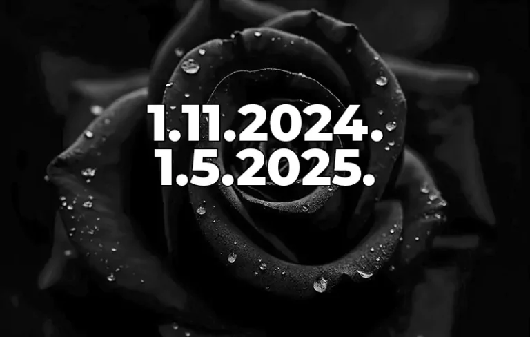 sest meseci od tragedije n