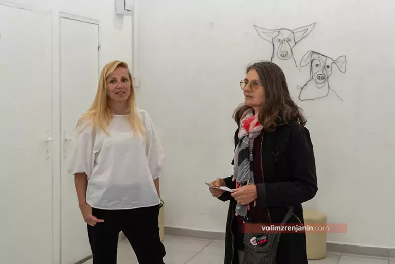 aluz u pogledu psa 026 n 682c530319c44