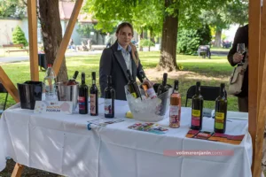 festival vina 002 n 6829b3517022d