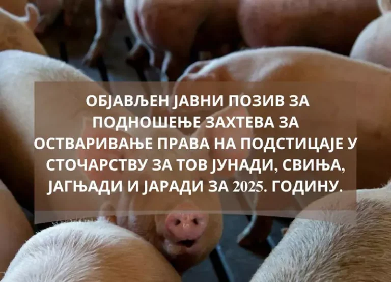 vizual tov 990x1238 n 683049c9a9d68