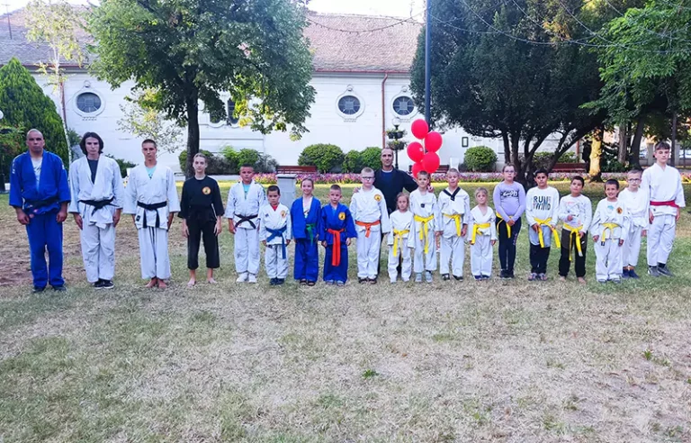 aikido n