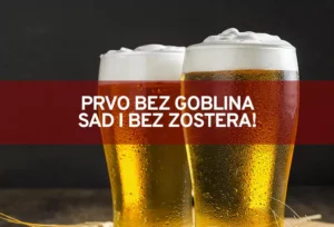 bez zostera n