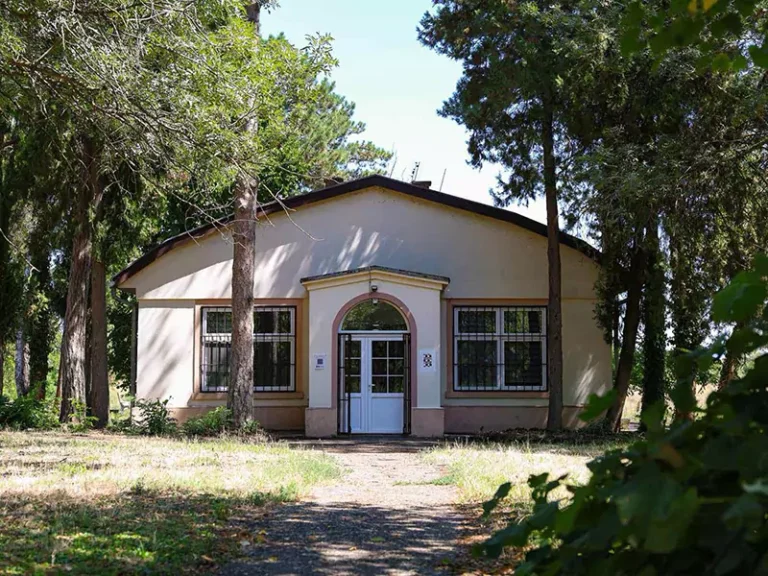 ecka paviljon 68a4f2e194d34
