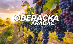 oberacka aradac n