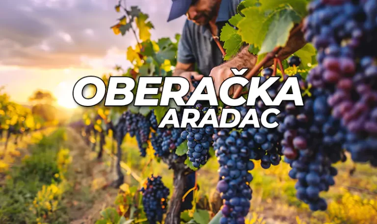 oberacka aradac n