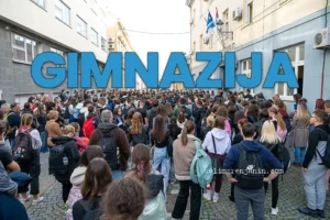 gimnazija zrenjanin n