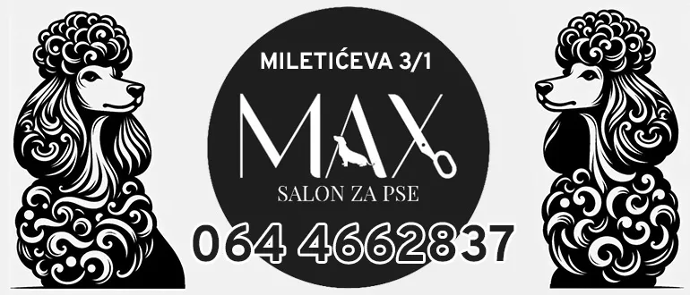 max grooming zrenjanin baner s