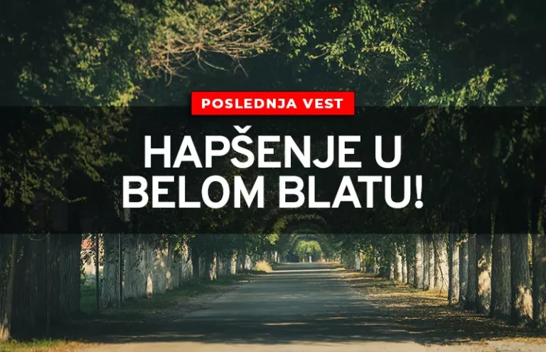 belo blato hapsenje n 692ecc9b9bacd