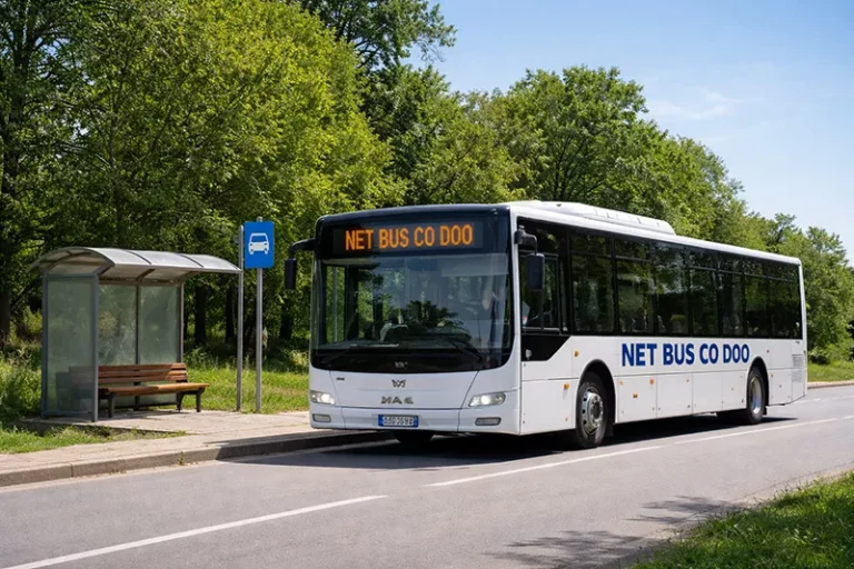 net bus zrenjanin n 695a28da59345