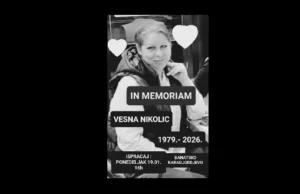 vesna n 696cf4cd14611