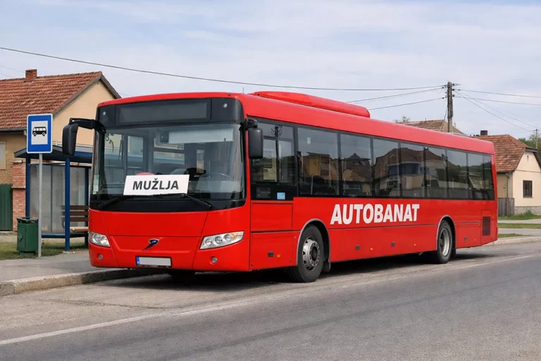 autobus muzlja zrenjanin s