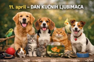 dan kucnih ljubimaca 69d928d884aec