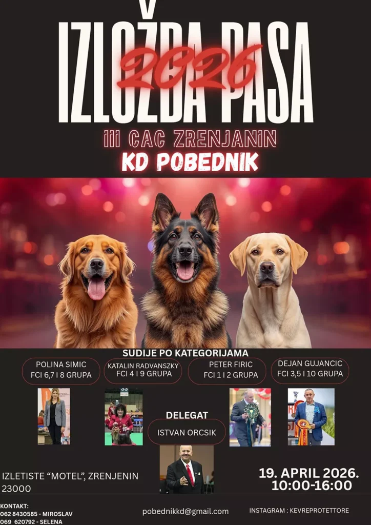 izlozba pasa zrenjanin 1 69d6a702d2c73