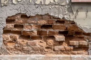 centar za socijalni rad zrenjanin 006 6a0dfaebc8ab7