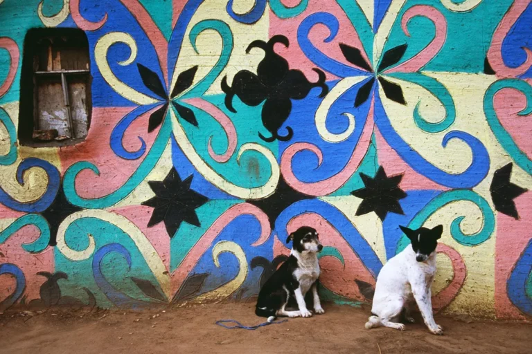 mural naroda basoto rad muralistkinje virdzinije mtembu na farmi drihok juzna afrika foto karina bejer 69fca51534360