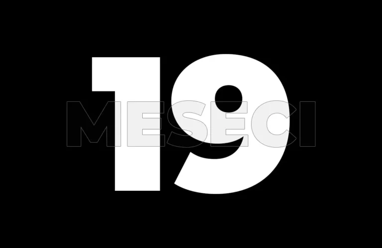 19 meseci s
